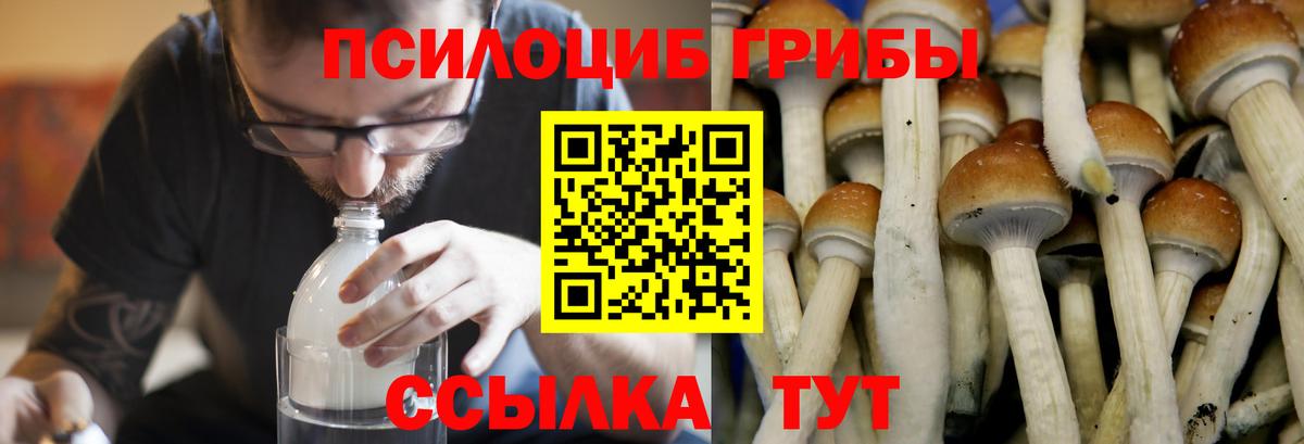 Галлюциногенные грибы Psilocybe  Псилоцибиновые грибы мицелий  Вход с VPN  цены   Учалы 